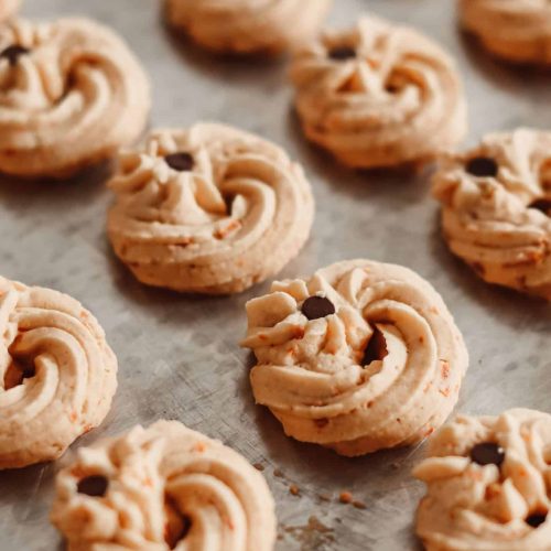 Pumpkin Peanut Butter Breakfast Cookies – Bella's Kitchen